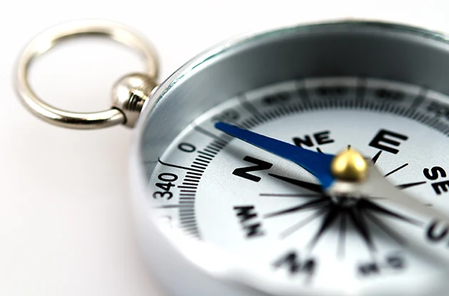 Guidance Towards Personalized Mental Health Support